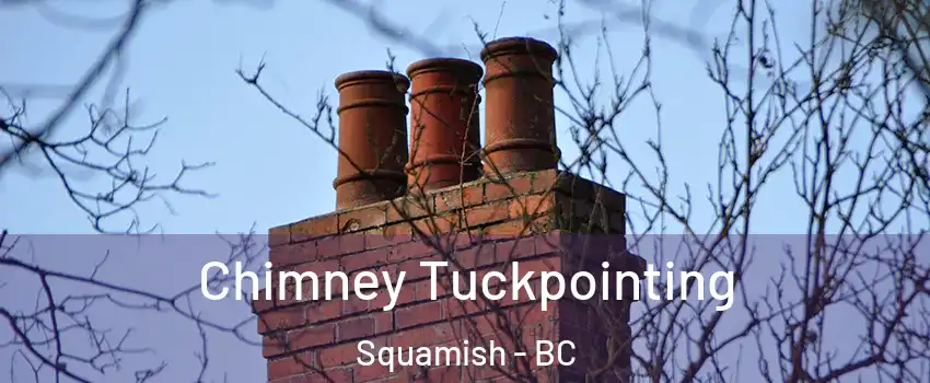  Chimney Tuckpointing Squamish - BC