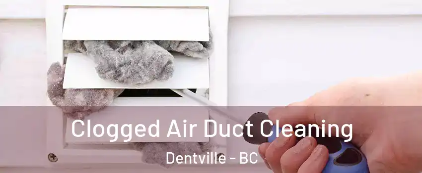  Clogged Air Duct Cleaning Dentville - BC