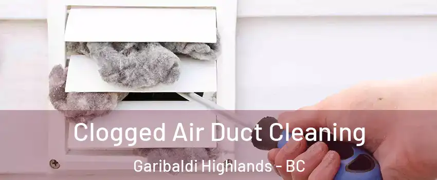  Clogged Air Duct Cleaning Garibaldi Highlands - BC