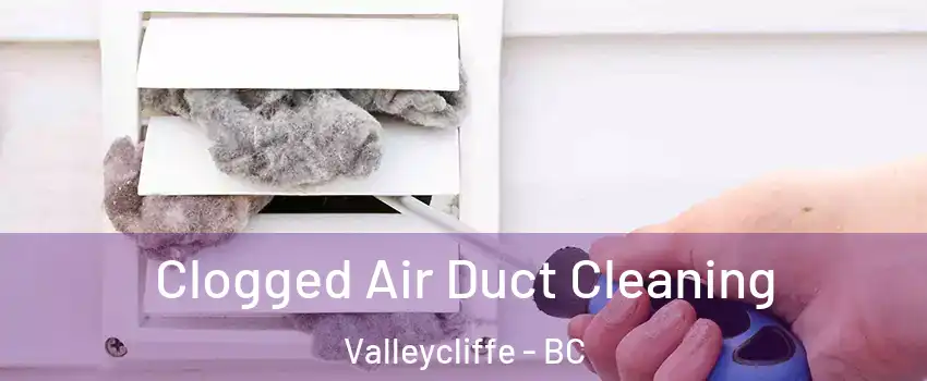  Clogged Air Duct Cleaning Valleycliffe - BC