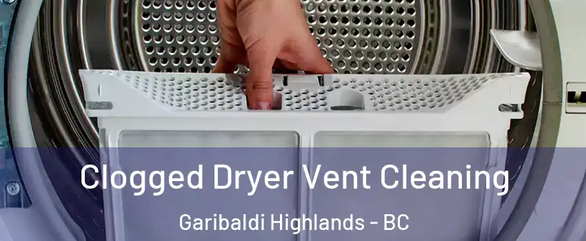  Clogged Dryer Vent Cleaning Garibaldi Highlands - BC