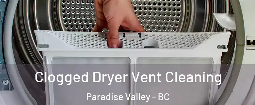  Clogged Dryer Vent Cleaning Paradise Valley - BC
