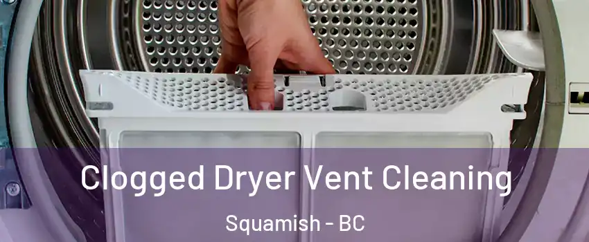  Clogged Dryer Vent Cleaning Squamish - BC