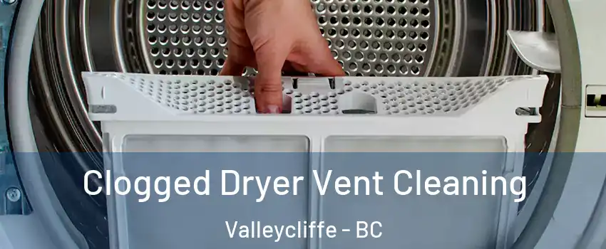  Clogged Dryer Vent Cleaning Valleycliffe - BC