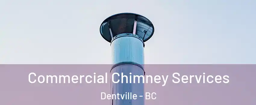  Commercial Chimney Services Dentville - BC