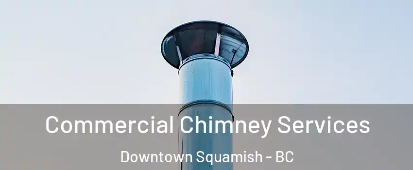  Commercial Chimney Services Downtown Squamish - BC