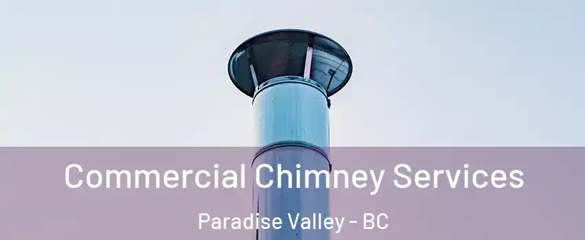  Commercial Chimney Services Paradise Valley - BC