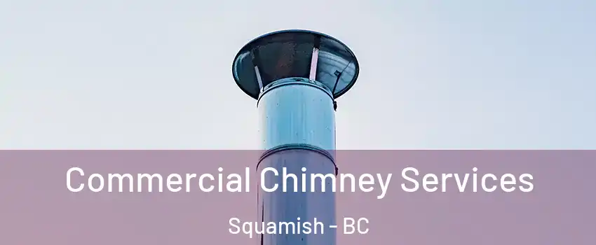  Commercial Chimney Services Squamish - BC