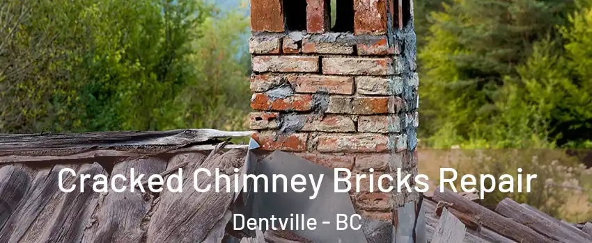  Cracked Chimney Bricks Repair Dentville - BC