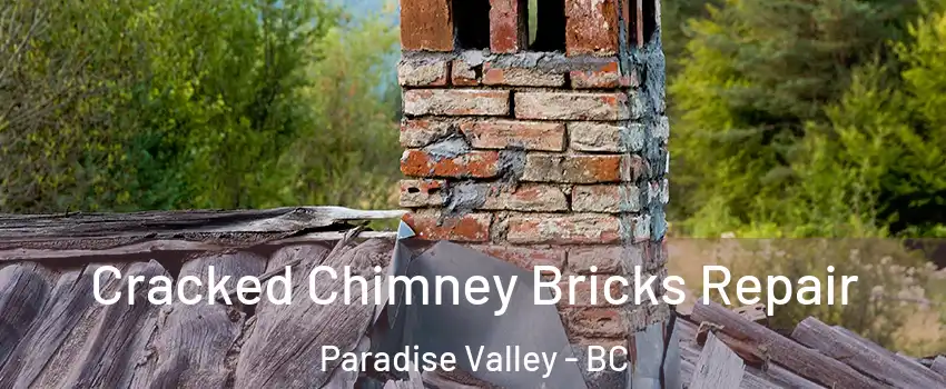  Cracked Chimney Bricks Repair Paradise Valley - BC