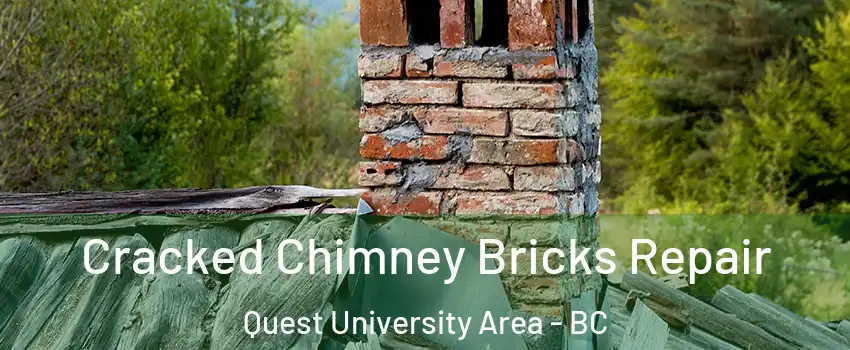  Cracked Chimney Bricks Repair Quest University Area - BC