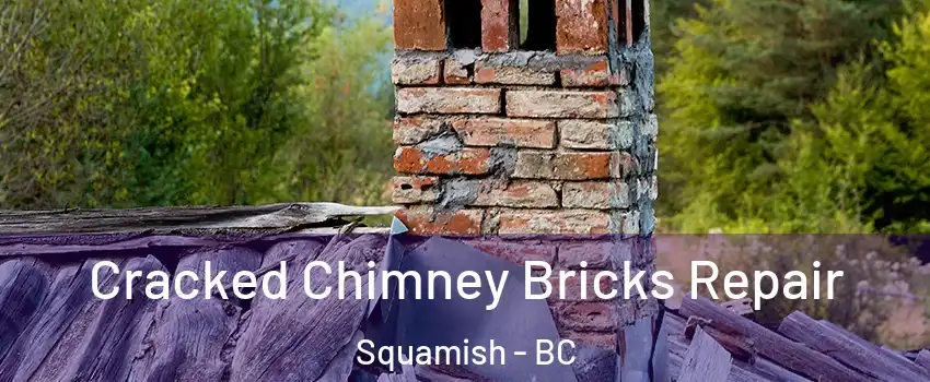  Cracked Chimney Bricks Repair Squamish - BC