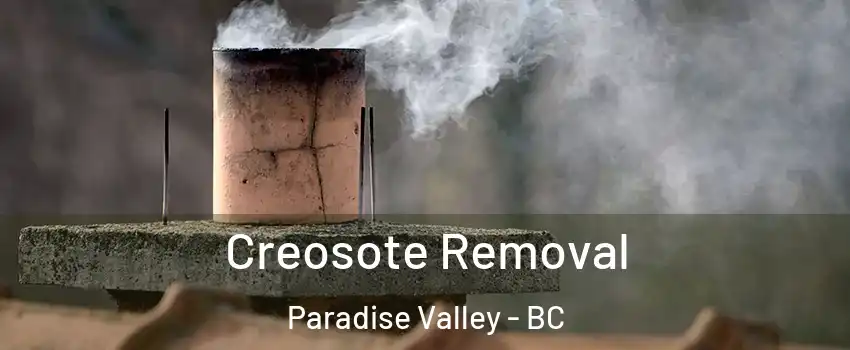  Creosote Removal Paradise Valley - BC