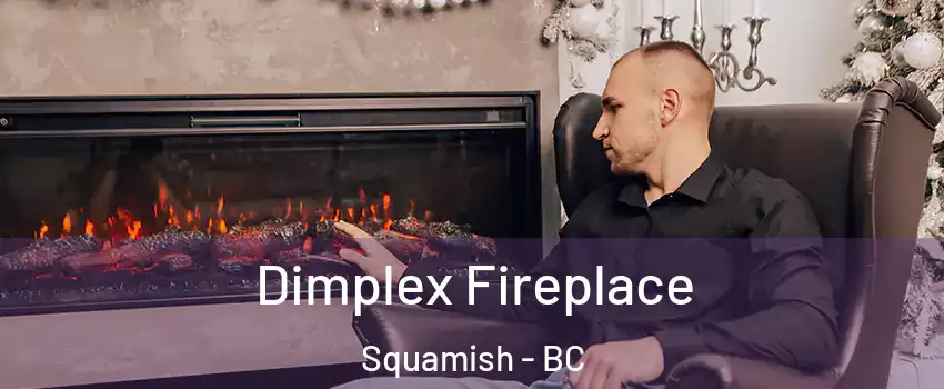  Dimplex Fireplace Squamish - BC
