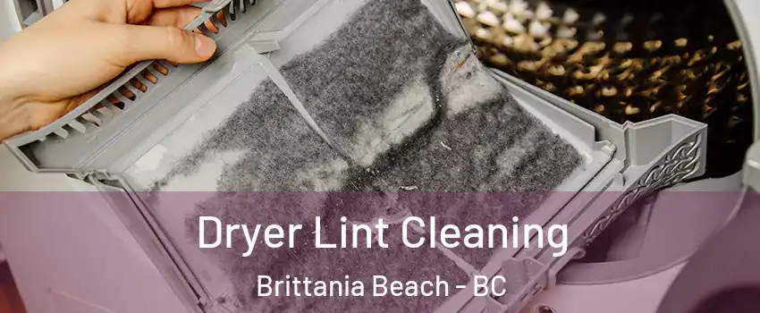  Dryer Lint Cleaning Brittania Beach - BC