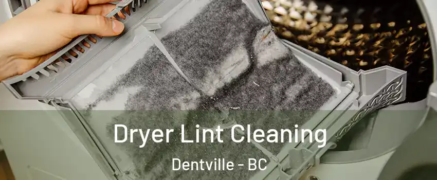  Dryer Lint Cleaning Dentville - BC