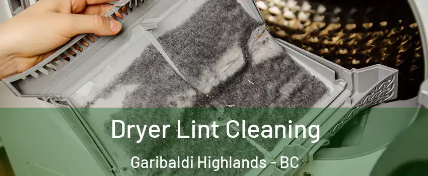  Dryer Lint Cleaning Garibaldi Highlands - BC