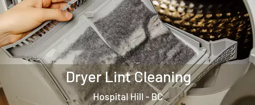  Dryer Lint Cleaning Hospital Hill - BC