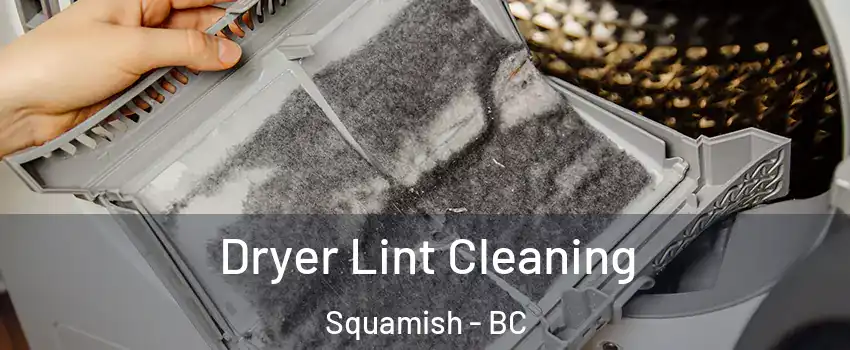  Dryer Lint Cleaning Squamish - BC