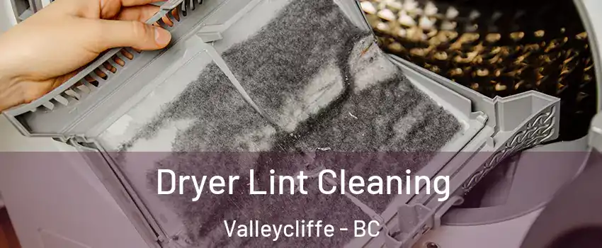  Dryer Lint Cleaning Valleycliffe - BC