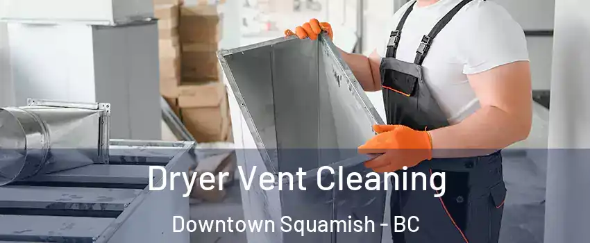  Dryer Vent Cleaning Downtown Squamish - BC