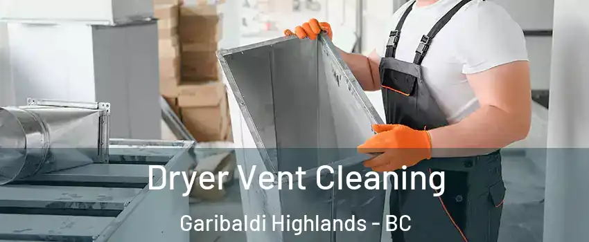  Dryer Vent Cleaning Garibaldi Highlands - BC