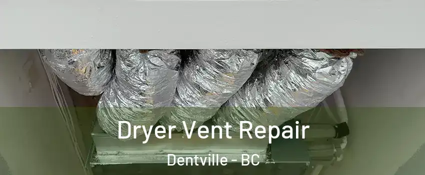  Dryer Vent Repair Dentville - BC