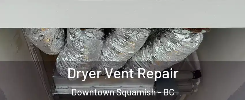  Dryer Vent Repair Downtown Squamish - BC