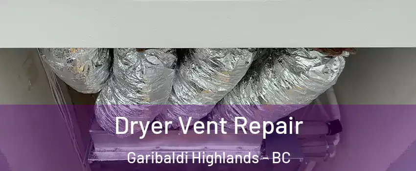  Dryer Vent Repair Garibaldi Highlands - BC