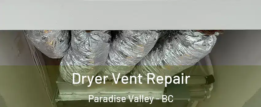  Dryer Vent Repair Paradise Valley - BC