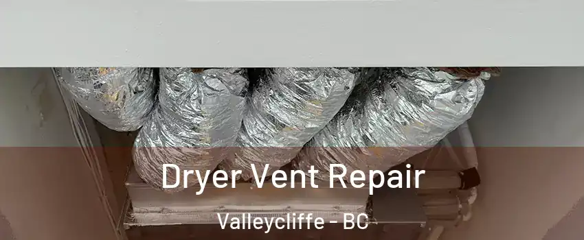  Dryer Vent Repair Valleycliffe - BC