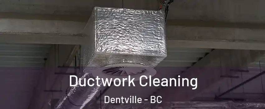  Ductwork Cleaning Dentville - BC