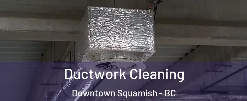  Ductwork Cleaning Downtown Squamish - BC