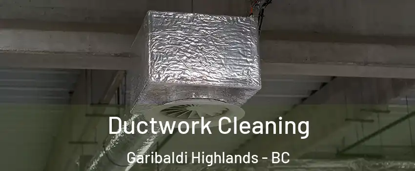  Ductwork Cleaning Garibaldi Highlands - BC