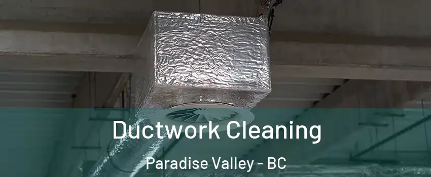  Ductwork Cleaning Paradise Valley - BC