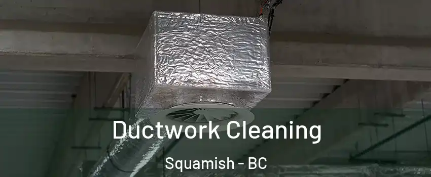  Ductwork Cleaning Squamish - BC
