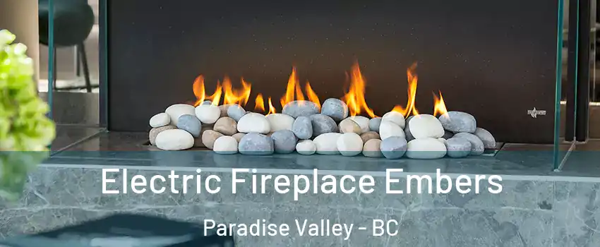  Electric Fireplace Embers Paradise Valley - BC
