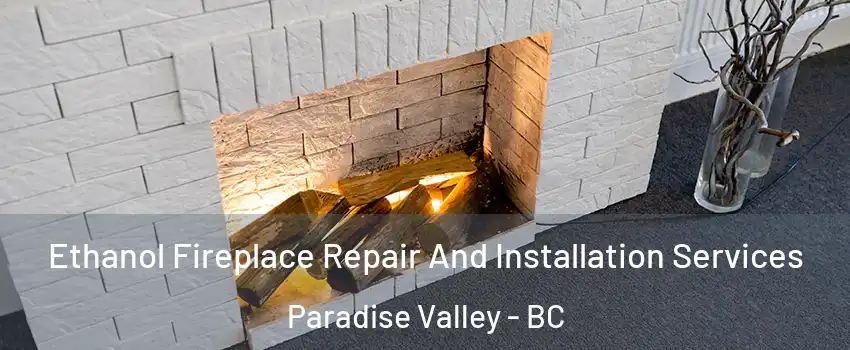  Ethanol Fireplace Repair And Installation Services Paradise Valley - BC