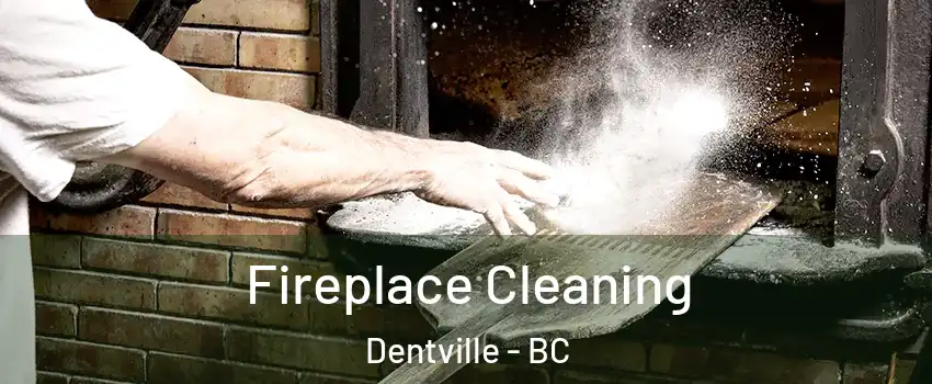  Fireplace Cleaning Dentville - BC