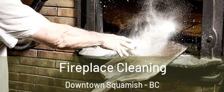  Fireplace Cleaning Downtown Squamish - BC