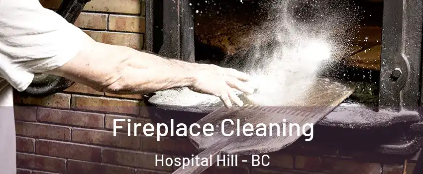  Fireplace Cleaning Hospital Hill - BC