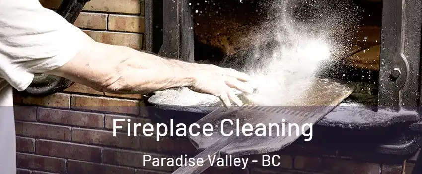  Fireplace Cleaning Paradise Valley - BC