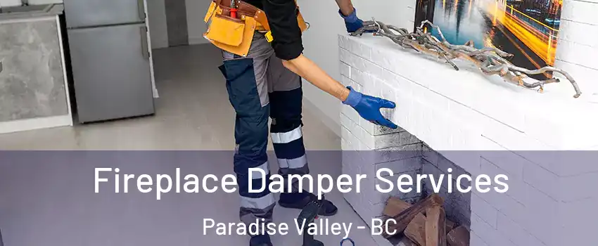 Fireplace Damper Services Paradise Valley - BC