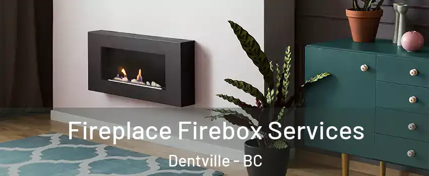  Fireplace Firebox Services Dentville - BC