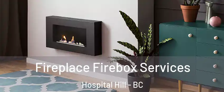  Fireplace Firebox Services Hospital Hill - BC