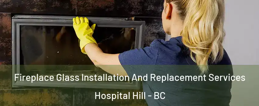  Fireplace Glass Installation And Replacement Services Hospital Hill - BC