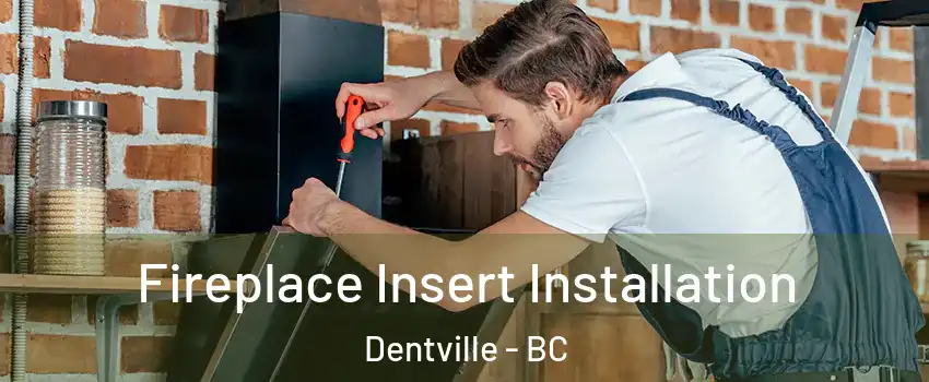  Fireplace Insert Installation Dentville - BC