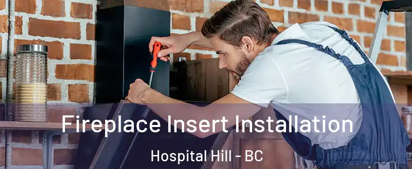  Fireplace Insert Installation Hospital Hill - BC