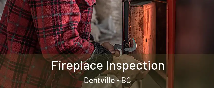  Fireplace Inspection Dentville - BC
