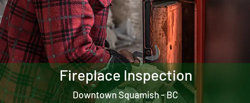  Fireplace Inspection Downtown Squamish - BC